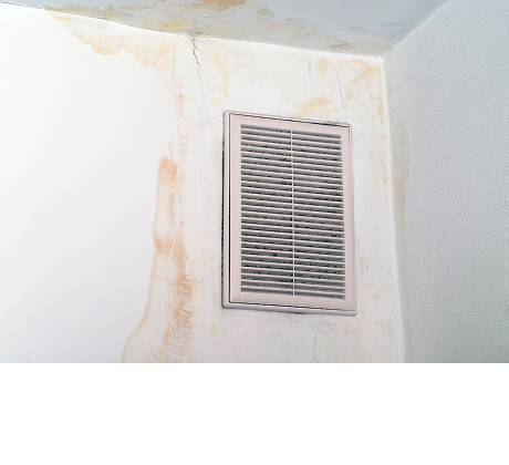 Rising Damp Ventilation